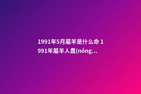 1991年5月屬羊是什么命 1991年屬羊人農(nóng)歷5月1日的命運-第1張-觀點-玄機派
